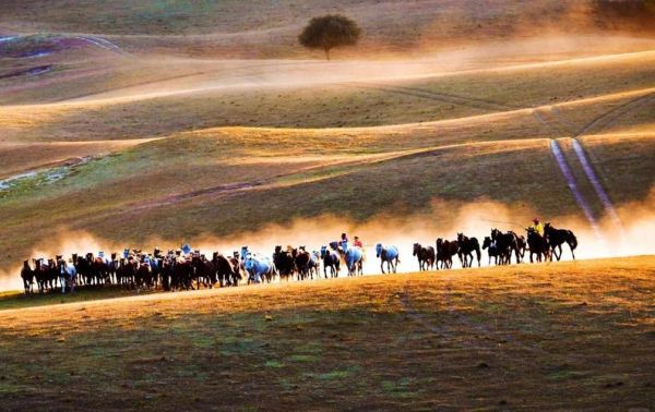 坝上摄影用什么镜头_坝上草原长焦还是广角-第3张图片-星辰妙记 坝上摄影用什么镜头_坝上草原长焦还是广角-第3张图片-星辰妙记