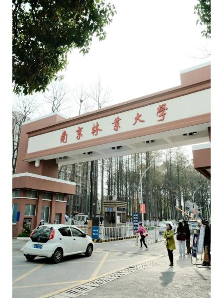 南京林业大学地址在哪里_南京林业大学有几个校区-第2张图片-星辰妙记