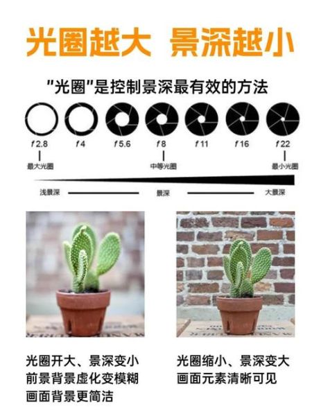 大景深镜头怎么用_大景深镜头适合拍什么-第3张图片-星辰妙记 大景深镜头怎么用_大景深镜头适合拍什么-第3张图片-星辰妙记