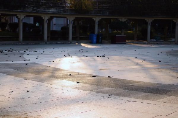 孤独的镜头怎么拍_如何用镜头表现孤独感-第3张图片-星辰妙记 孤独的镜头怎么拍_如何用镜头表现孤独感-第3张图片-星辰妙记