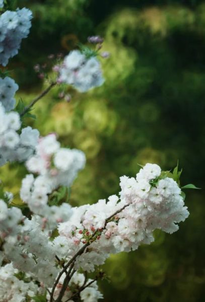 美能达500折返镜头怎么样_美能达500折返镜头使用技巧-第2张图片-星辰妙记 美能达500折返镜头怎么样_美能达500折返镜头使用技巧-第2张图片-星辰妙记