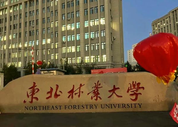 东北林业大学排名怎么样_东北林业大学全国第几名-第3张图片-星辰妙记 东北林业大学排名怎么样_东北林业大学全国第几名-第3张图片-星辰妙记
