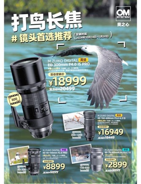 佳能打鸟镜头推荐_哪款长焦最适合拍鸟-第2张图片-星辰妙记 佳能打鸟镜头推荐_哪款长焦最适合拍鸟-第2张图片-星辰妙记