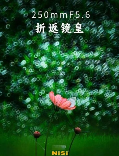 折返镜头作品怎么拍_折返镜头作品后期调色技巧-第1张图片-星辰妙记 折返镜头作品怎么拍_折返镜头作品后期调色技巧-第1张图片-星辰妙记