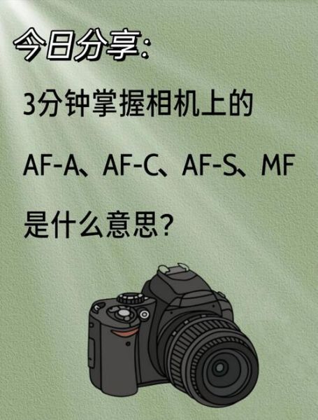 单反镜头对焦模式怎么选_对焦速度提升技巧-第2张图片-星辰妙记 单反镜头对焦模式怎么选_对焦速度提升技巧-第2张图片-星辰妙记