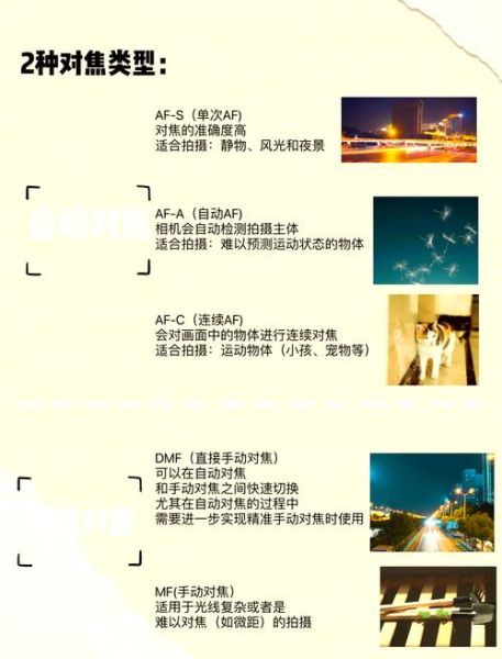 单反镜头对焦模式怎么选_对焦速度提升技巧-第3张图片-星辰妙记 单反镜头对焦模式怎么选_对焦速度提升技巧-第3张图片-星辰妙记