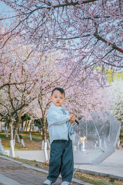 拍外景镜头怎么选_拍外景用什么镜头最好-第2张图片-星辰妙记 拍外景镜头怎么选_拍外景用什么镜头最好-第2张图片-星辰妙记