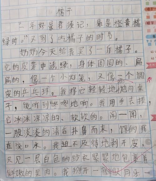 橘子人生作文怎么写_橘子人生作文素材有哪些-第3张图片-星辰妙记