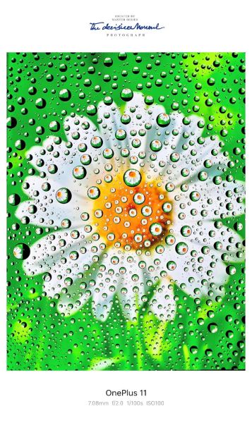 微距镜头怎么选_微距镜头推荐哪款-第3张图片-星辰妙记 微距镜头怎么选_微距镜头推荐哪款-第3张图片-星辰妙记