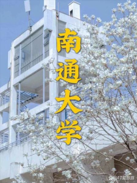 南通大学排名怎么样_南通大学全国第几名-第3张图片-星辰妙记
