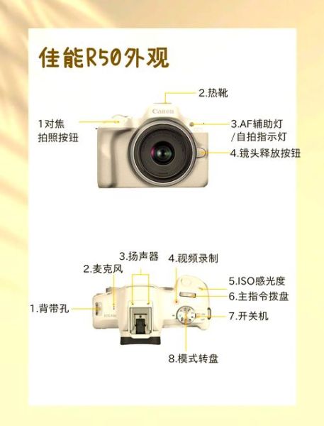 佳能手动镜头值得买吗_如何挑选佳能手动镜头-第2张图片-星辰妙记