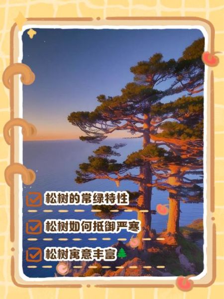 一棵松树能活多久_松树为什么四季常青-第2张图片-星辰妙记 一棵松树能活多久_松树为什么四季常青-第2张图片-星辰妙记