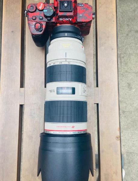 索尼转接佳能镜头兼容吗_索尼转接佳能镜头画质会下降吗-第1张图片-星辰妙记 索尼转接佳能镜头兼容吗_索尼转接佳能镜头画质会下降吗-第1张图片-星辰妙记