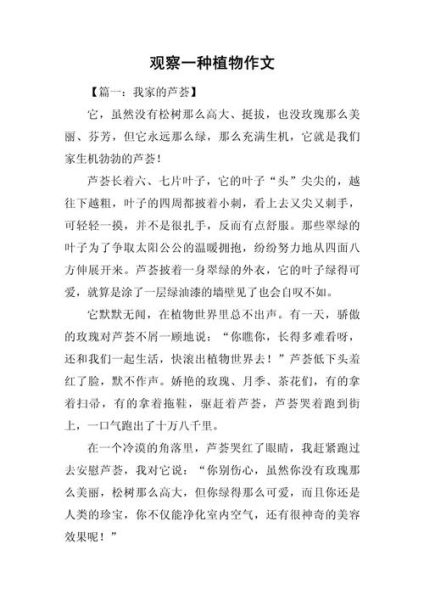 观察作文怎么写_小学生观察作文技巧-第1张图片-星辰妙记 观察作文怎么写_小学生观察作文技巧-第1张图片-星辰妙记