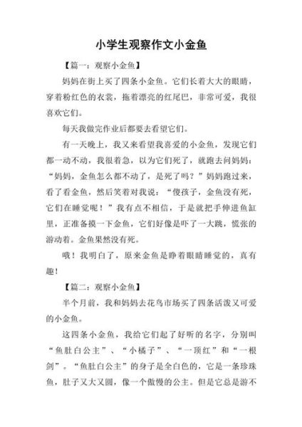 观察作文怎么写_小学生观察作文技巧-第2张图片-星辰妙记 观察作文怎么写_小学生观察作文技巧-第2张图片-星辰妙记