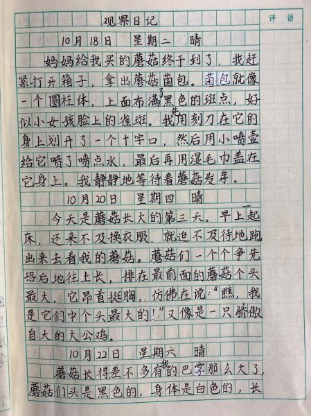 观察作文怎么写_小学生观察作文技巧-第3张图片-星辰妙记 观察作文怎么写_小学生观察作文技巧-第3张图片-星辰妙记