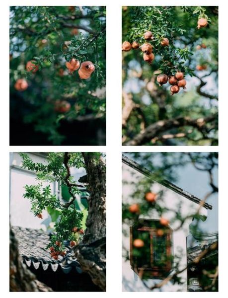 70200镜头适合拍风景吗_70200镜头风景拍摄技巧-第1张图片-星辰妙记 70200镜头适合拍风景吗_70200镜头风景拍摄技巧-第1张图片-星辰妙记