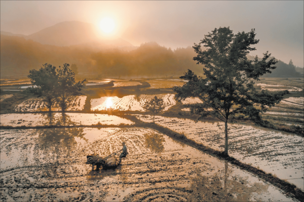 晨光镜头怎么样_晨光镜头适合拍什么-第3张图片-星辰妙记 晨光镜头怎么样_晨光镜头适合拍什么-第3张图片-星辰妙记