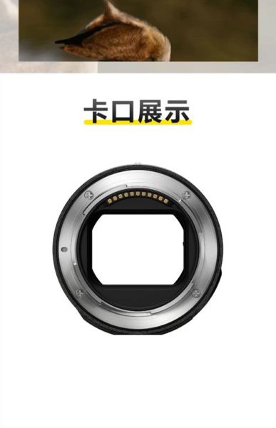 单反镜头接口有哪些_如何选佳能尼康索尼卡口-第3张图片-星辰妙记 单反镜头接口有哪些_如何选佳能尼康索尼卡口-第3张图片-星辰妙记