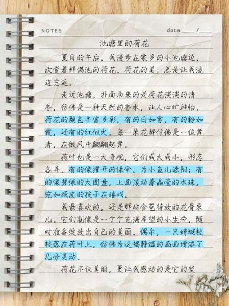 赏荷花作文怎么写_赏荷花作文开头结尾-第3张图片-星辰妙记