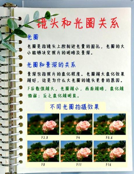 单反镜头怎么选_初学者入门必看-第2张图片-星辰妙记 单反镜头怎么选_初学者入门必看-第2张图片-星辰妙记