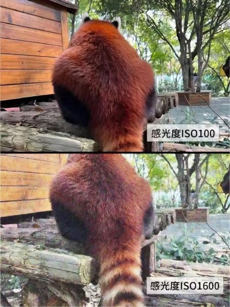 FD镜头光圈怎么调_FD镜头光圈值怎么看-第3张图片-星辰妙记 FD镜头光圈怎么调_FD镜头光圈值怎么看-第3张图片-星辰妙记