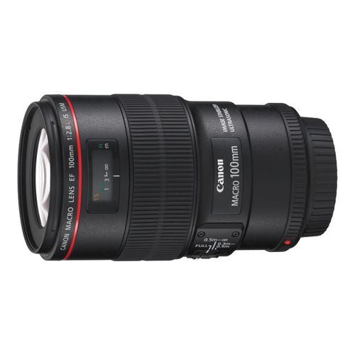 佳能百微镜头值得买吗_佳能百微镜头使用技巧-第3张图片-星辰妙记 佳能百微镜头值得买吗_佳能百微镜头使用技巧-第3张图片-星辰妙记