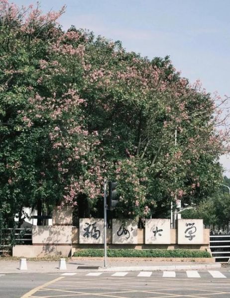 福州有哪些大学_福州大学怎么样-第3张图片-星辰妙记 福州有哪些大学_福州大学怎么样-第3张图片-星辰妙记