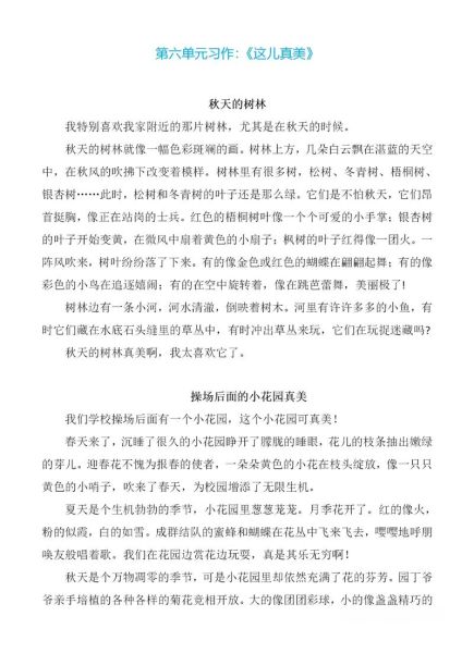 三年级上册第六单元作文怎么写_有哪些写作技巧-第3张图片-星辰妙记