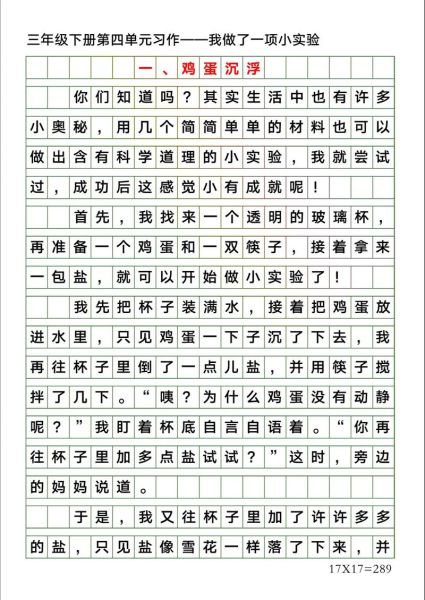 小学生小实验作文100字怎么写_100字科学实验作文范例-第2张图片-星辰妙记