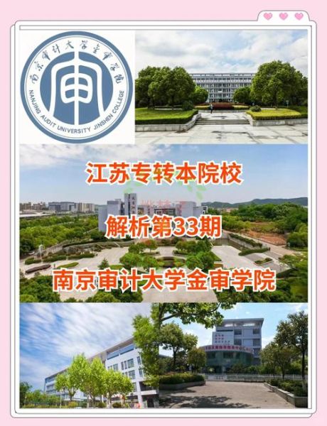 南京审计大学金审学院是几本_高考志愿填报指南-第1张图片-星辰妙记