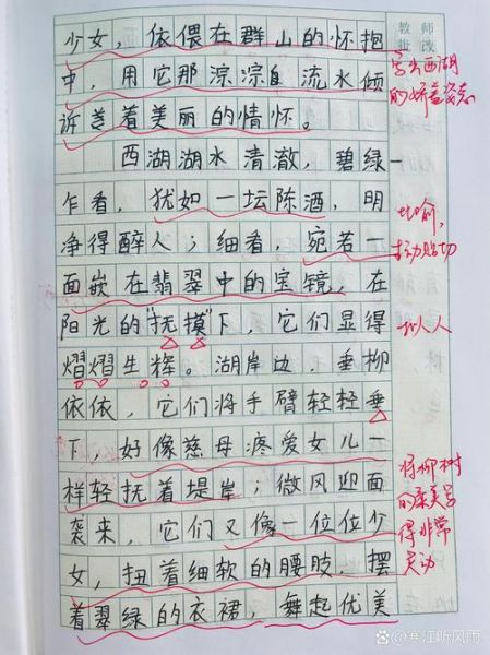 游西湖作文300字怎么写_游西湖作文300字优秀范文-第3张图片-星辰妙记
