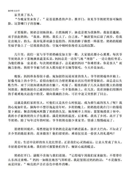 第一次招待客人作文怎么写_如何让客人宾至如归-第2张图片-星辰妙记