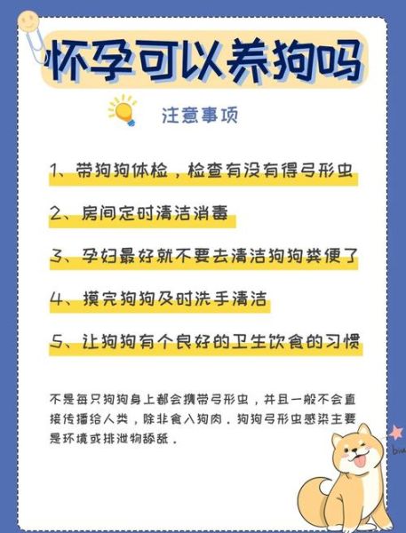 孕妇可以养狗吗_怀孕养狗注意事项-第2张图片-星辰妙记