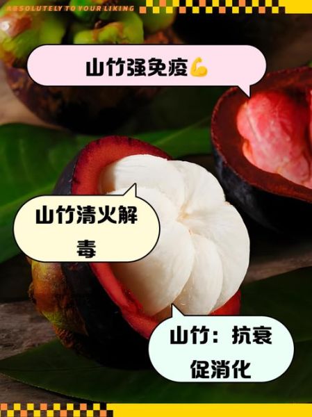 孕妇山竹一天最多吃几个_山竹对孕妇的好处与禁忌-第2张图片-星辰妙记