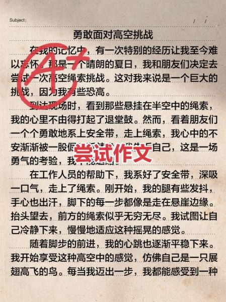 尝试作文600字怎么写_如何写出高分尝试作文-第1张图片-星辰妙记