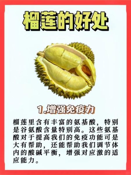 孕妇吃榴莲对胎儿好吗_怀孕吃榴莲注意事项-第2张图片-星辰妙记