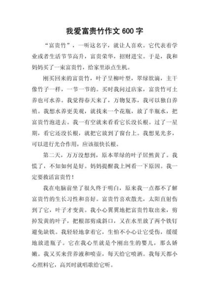 七年级作文怎么写_600字作文如何扩写到800字-第3张图片-星辰妙记