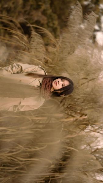 70mm镜头适合拍什么_70mm镜头虚化效果如何-第2张图片-星辰妙记