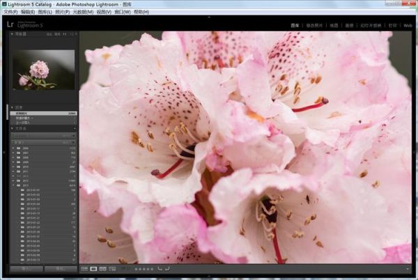 焦外好的镜头推荐_如何挑选奶油般虚化-第3张图片-星辰妙记