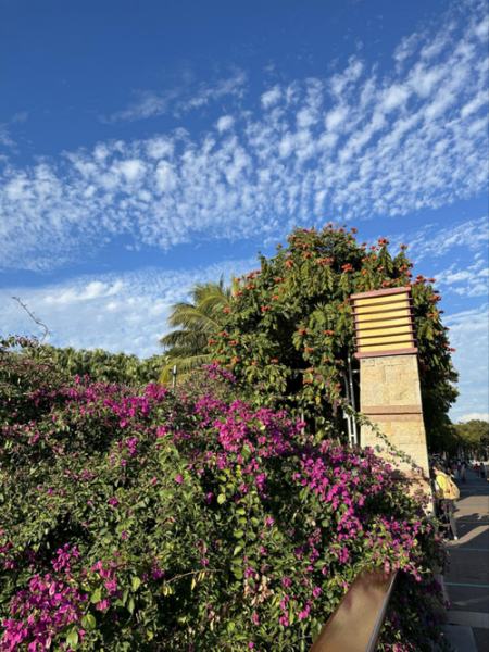 218镜头适合拍什么_218镜头画质怎么样-第1张图片-星辰妙记