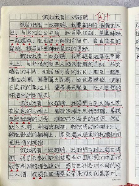 假如我有一双翅膀_怎么写作文-第1张图片-星辰妙记