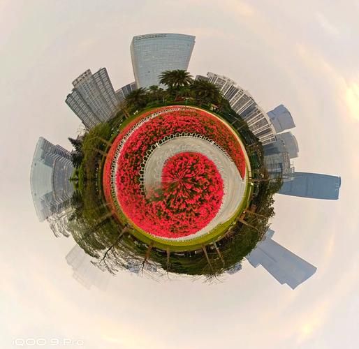 什么是鱼眼镜头_鱼眼镜头适合拍什么场景-第1张图片-星辰妙记 什么是鱼眼镜头_鱼眼镜头适合拍什么场景-第1张图片-星辰妙记