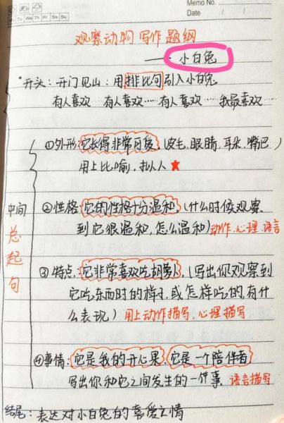 如何写好作文_作文纲要怎么写-第2张图片-星辰妙记 如何写好作文_作文纲要怎么写-第2张图片-星辰妙记