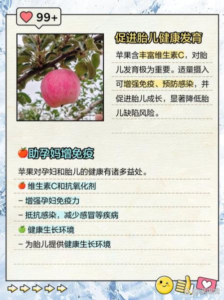孕妇为什么喜欢吃苹果_孕妇吃苹果对胎儿好吗-第1张图片-星辰妙记 孕妇为什么喜欢吃苹果_孕妇吃苹果对胎儿好吗-第1张图片-星辰妙记