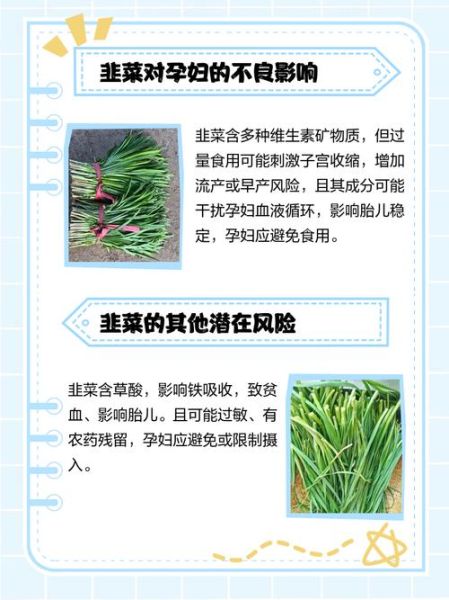 孕妇可以吃韭菜吗_韭菜对孕妇的利弊-第1张图片-星辰妙记