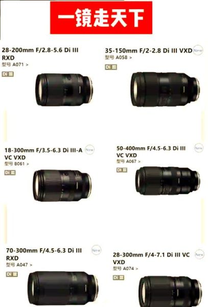 佳能一镜走天下镜头推荐_哪个焦段最实用-第2张图片-星辰妙记