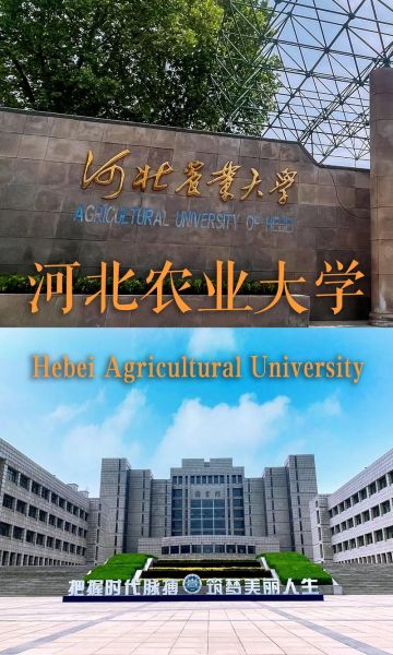 河北农业大学全国排名_河北农业大学排名怎么样-第2张图片-星辰妙记 河北农业大学全国排名_河北农业大学排名怎么样-第2张图片-星辰妙记