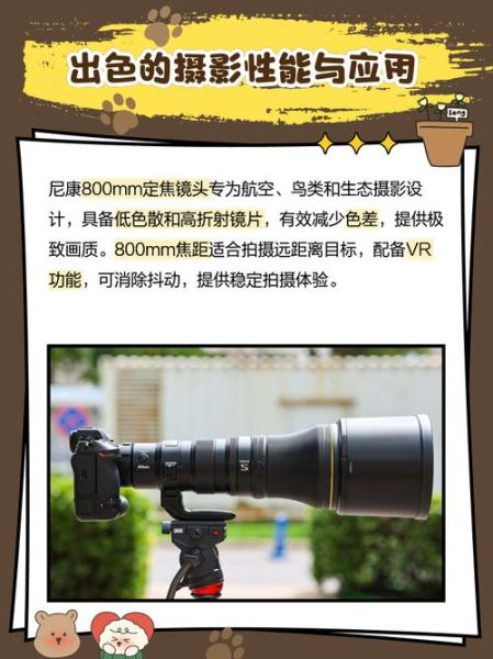 尼康D800配什么镜头_尼康D800镜头推荐-第3张图片-星辰妙记 尼康D800配什么镜头_尼康D800镜头推荐-第3张图片-星辰妙记
