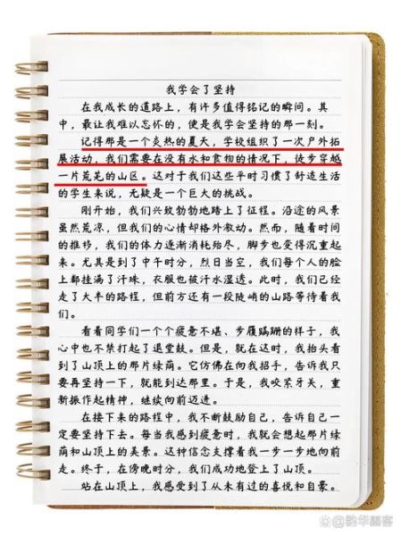 学会了什么作文怎么写_学会了什么作文写作技巧-第1张图片-星辰妙记